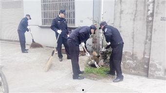 新狮街道爆料事件最新,揭秘背后真相与影响  第1张